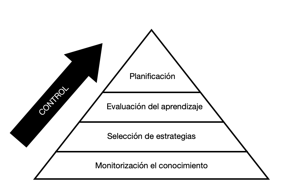 Guía sobre la Metacognición el aprendizaje autorregulado:&nbsp;Introducción