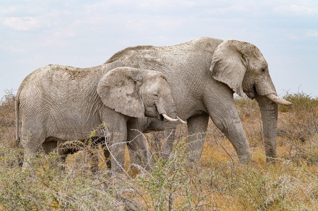 Una variable no muy conocida que impacta en el aprendizaje: la eficacia colectiva&nbsp;docente